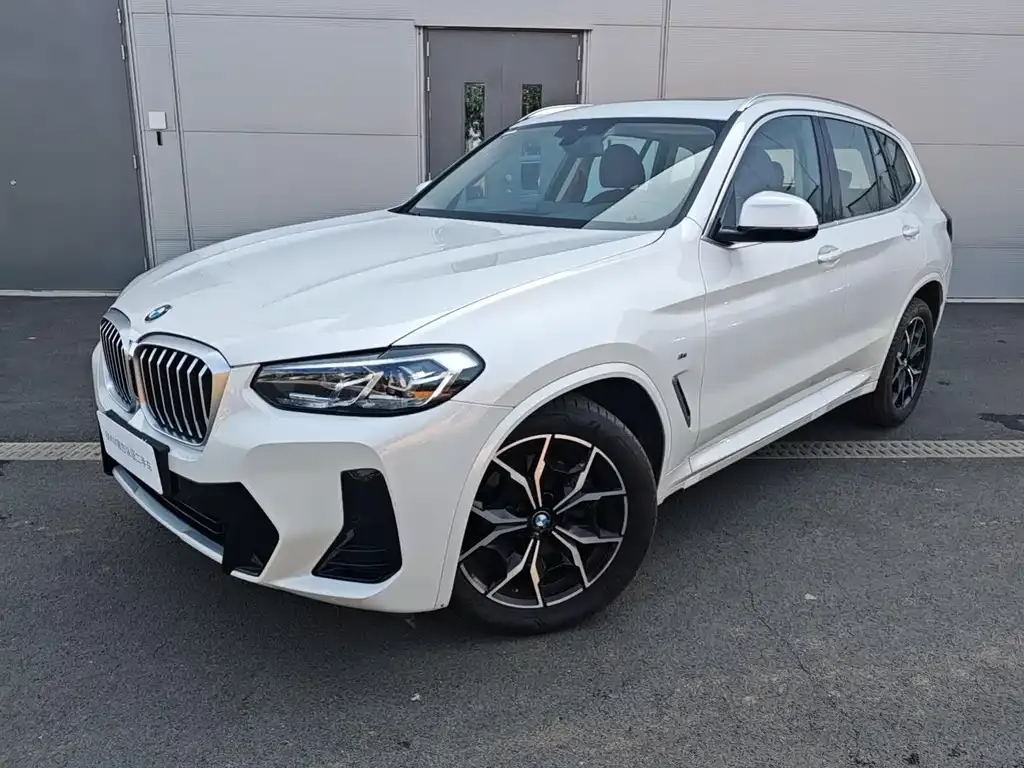 BMW X3 — фото 1