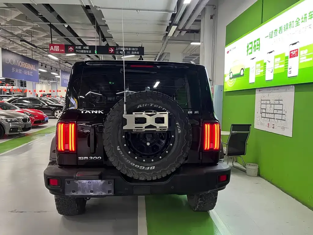 [object Object] Tank 300 2022 из CN, фото 4