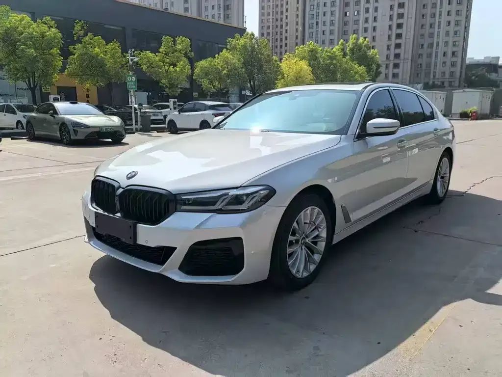 BMW 5 Series 2021 из CN, фото 1