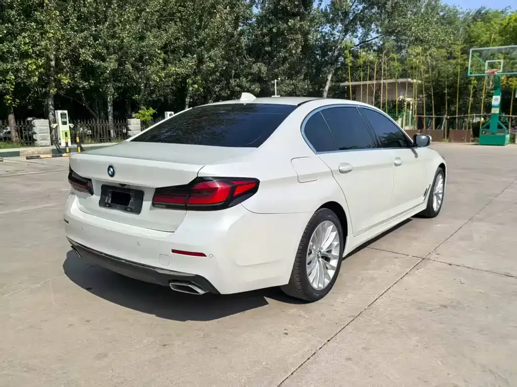 BMW 5 Series 2021 из CN, фото 10