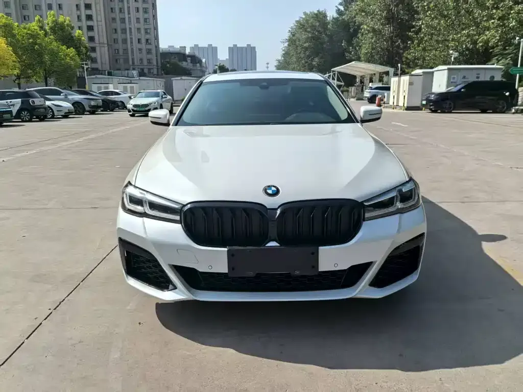 BMW 5 Series 2021 из CN, фото 2