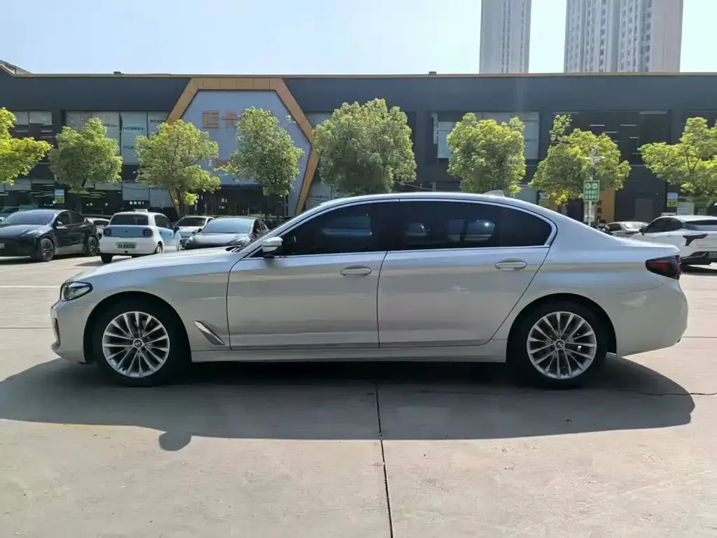 BMW 5 Series 2021 из CN, фото 3