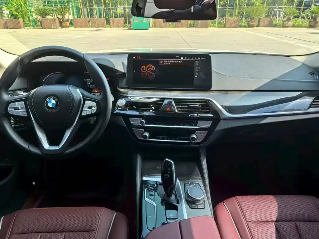 BMW 5 Series 2021 из CN, фото 6