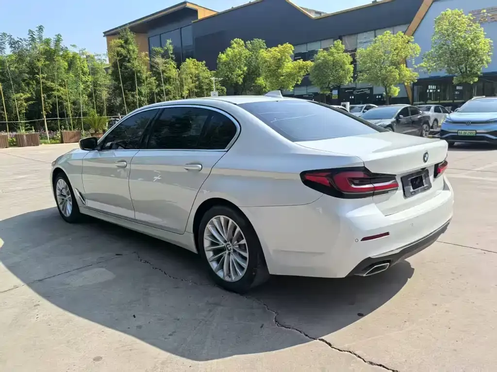 BMW 5 Series 2021 из CN, фото 8