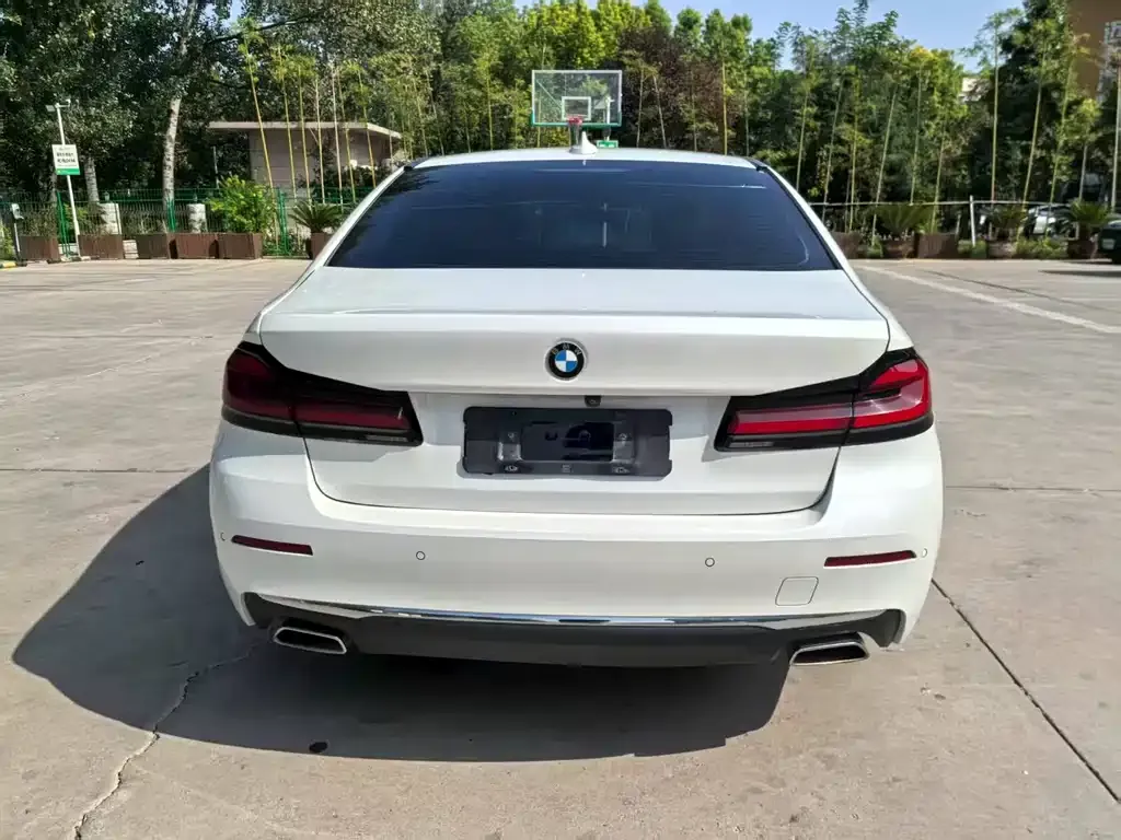 BMW 5 Series 2021 из CN, фото 9