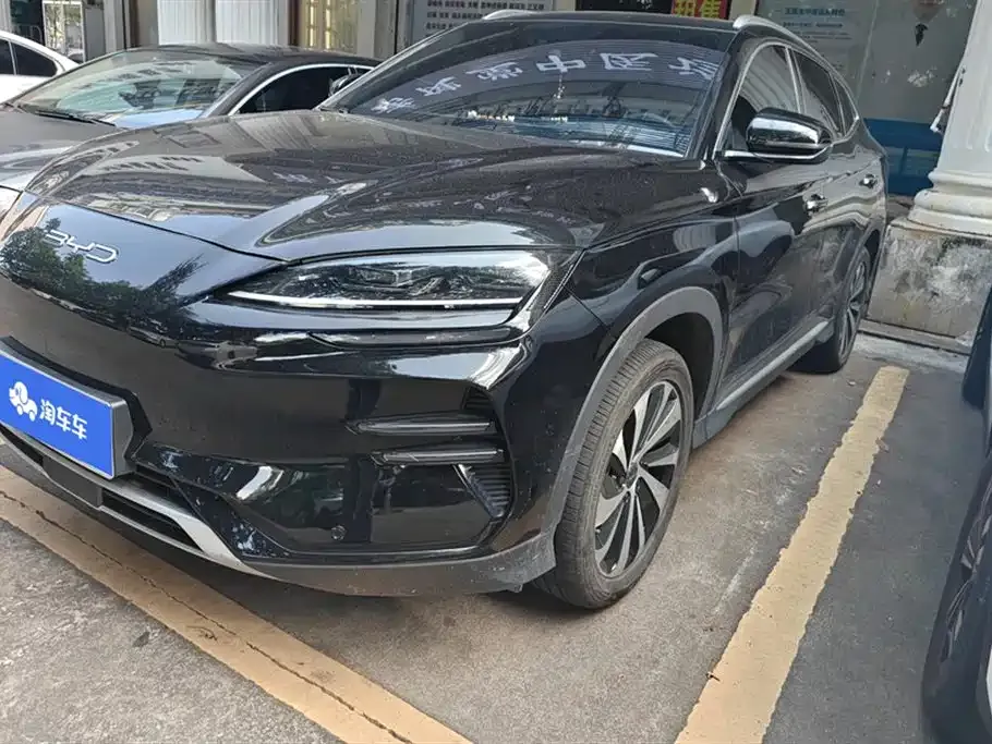 BYD PLUS New Energy — фото 1