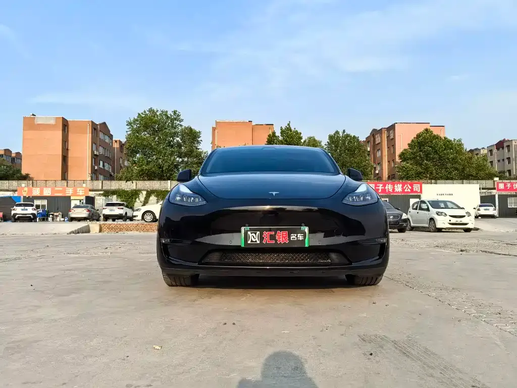 Tesla Model Y — фото 2
