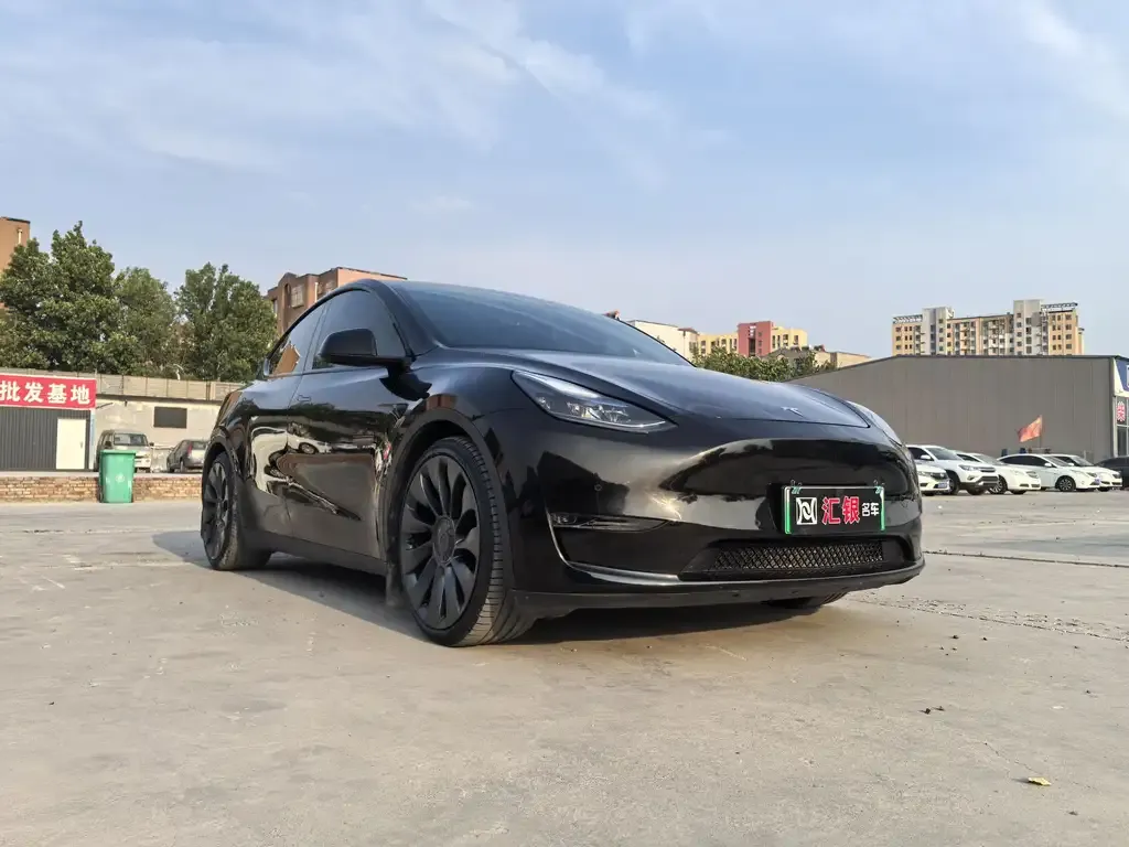Tesla Model Y — фото 3