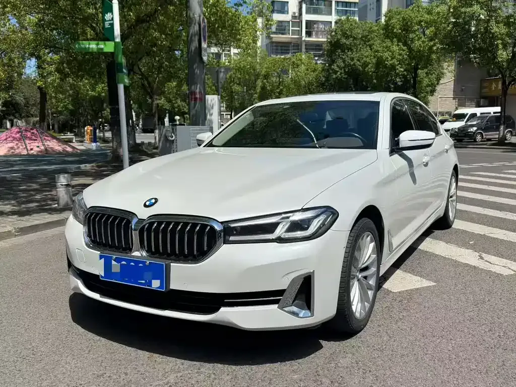 BMW 5 Series 2022 из CN, фото 1
