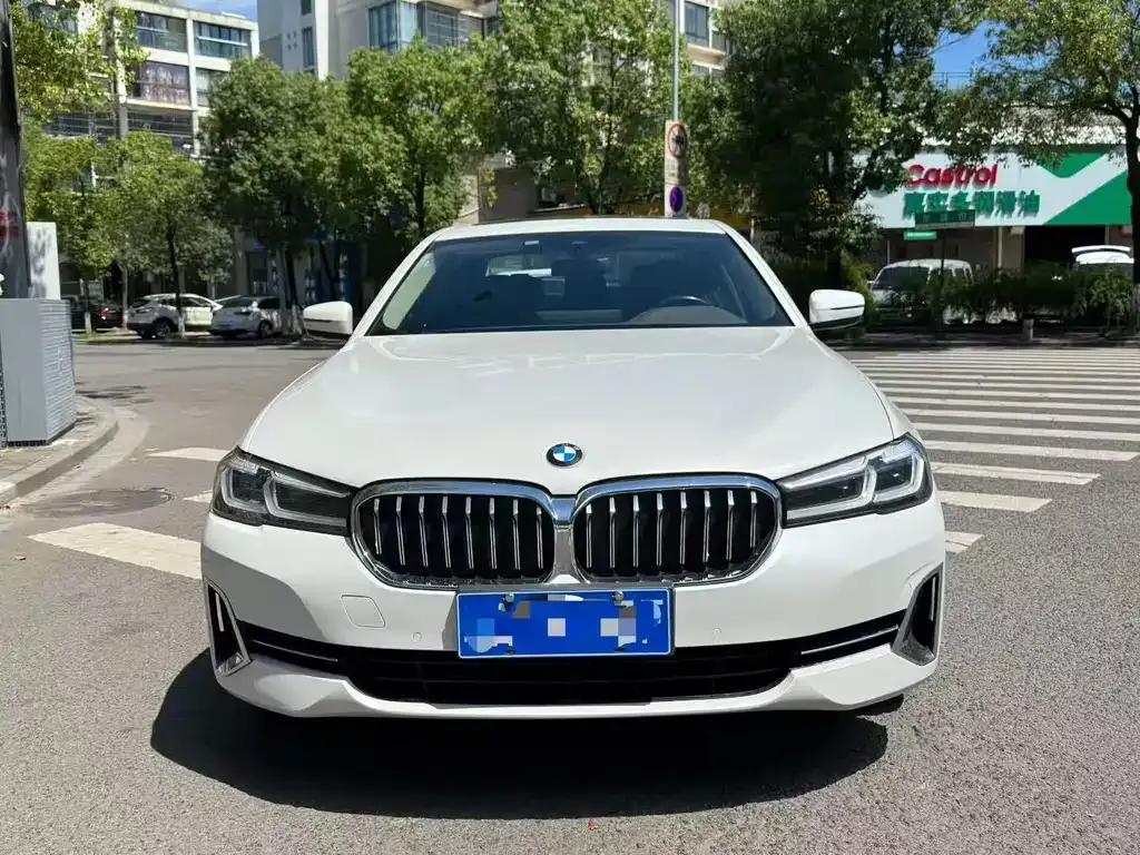 BMW 5 Series 2022 из CN, фото 2
