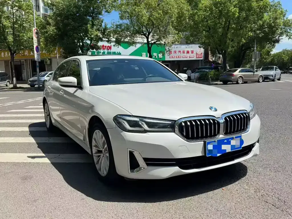 BMW 5 Series 2022 из CN, фото 3