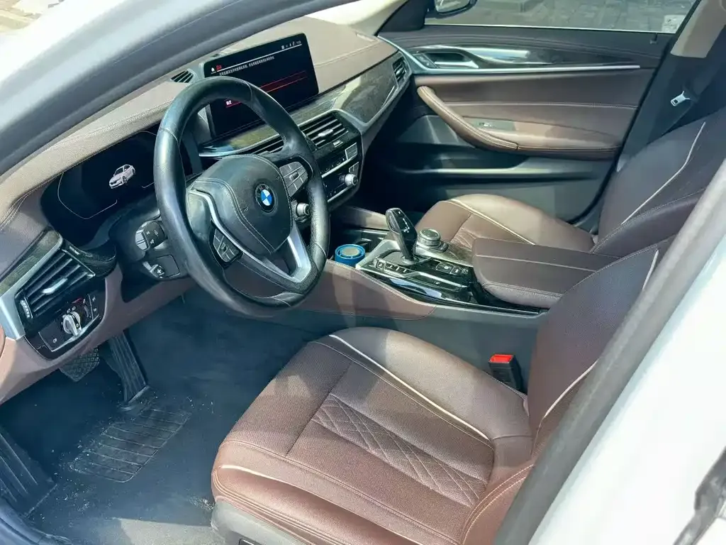 BMW 5 Series 2022 из CN, фото 5