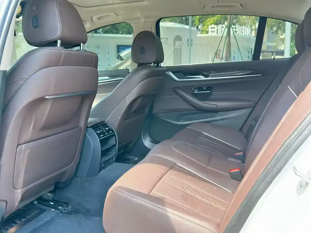 BMW 5 Series 2022 из CN, фото 6