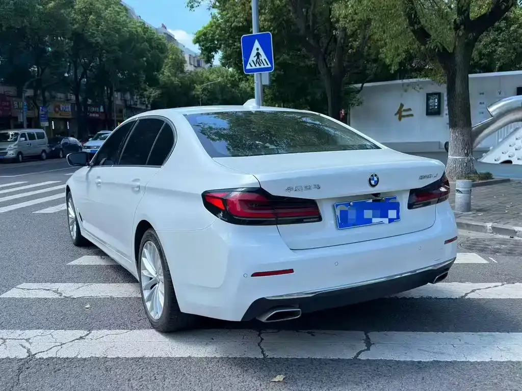 BMW 5 Series 2022 из CN, фото 7