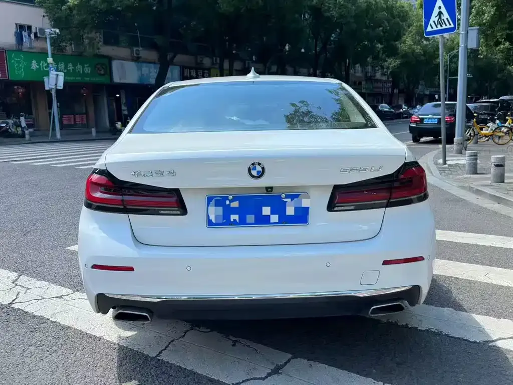 BMW 5 Series 2022 из CN, фото 8