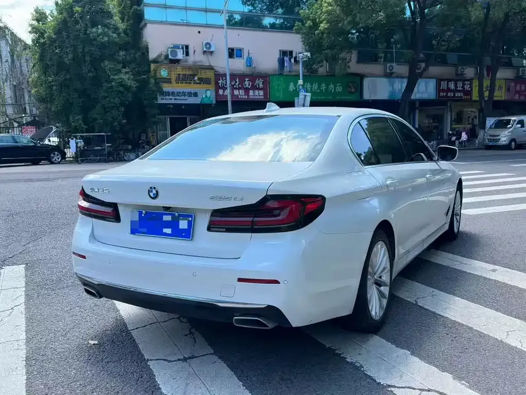 BMW 5 Series 2022 из CN, фото 9