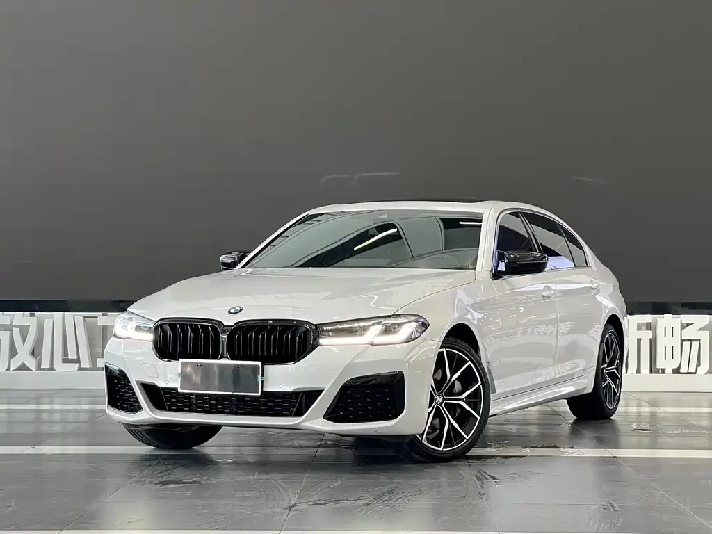 BMW 5 Series 2023 из CN, фото 1