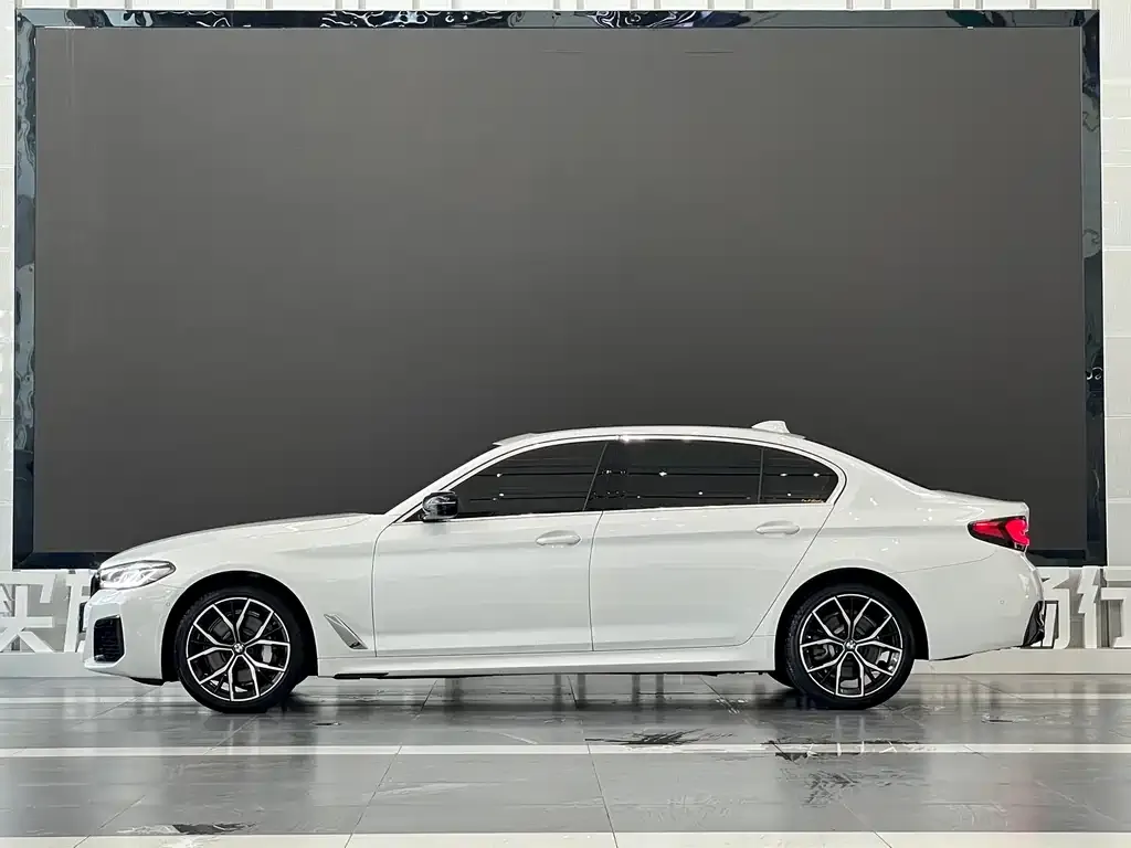 BMW 5 Series 2023 из CN, фото 3