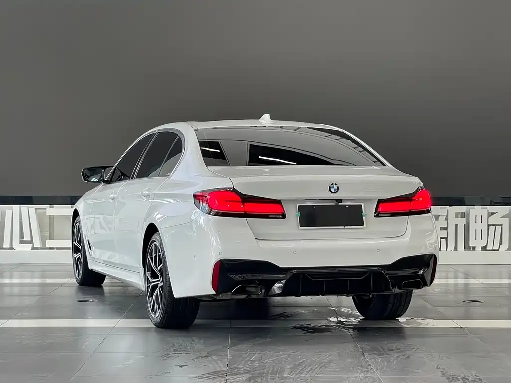 BMW 5 Series 2023 из CN, фото 4