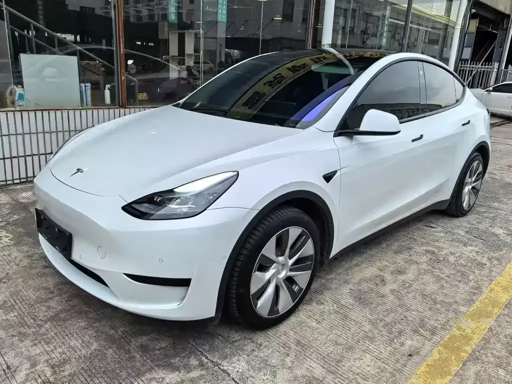 Tesla Model Y 2022 из CN, фото 1