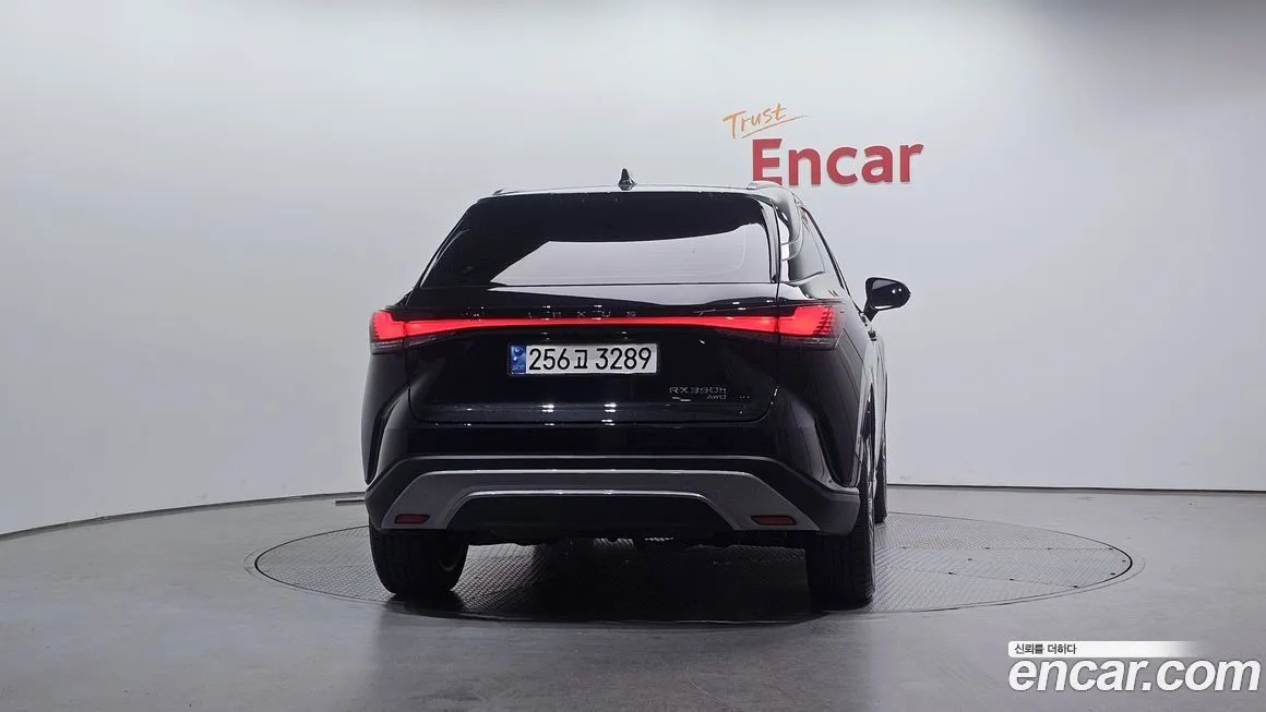 Lexus RX 2024 из KR, фото 4