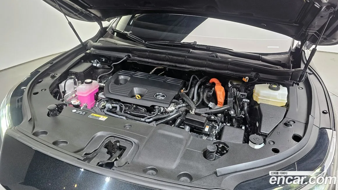 Lexus RX 2024 из KR, фото 6