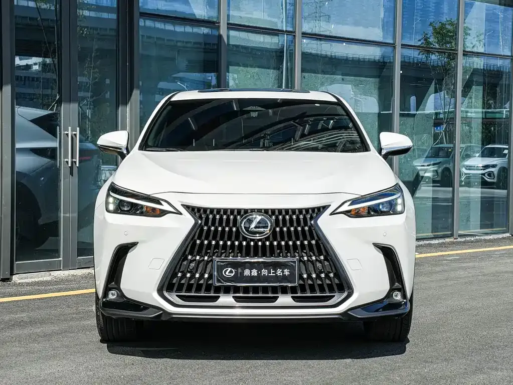Lexus NX 2023 из CN, фото 2