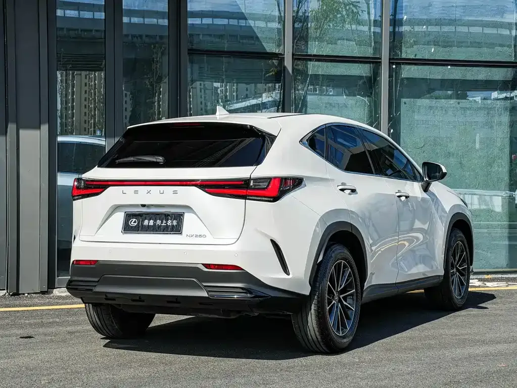 Lexus NX 2023 из CN, фото 4