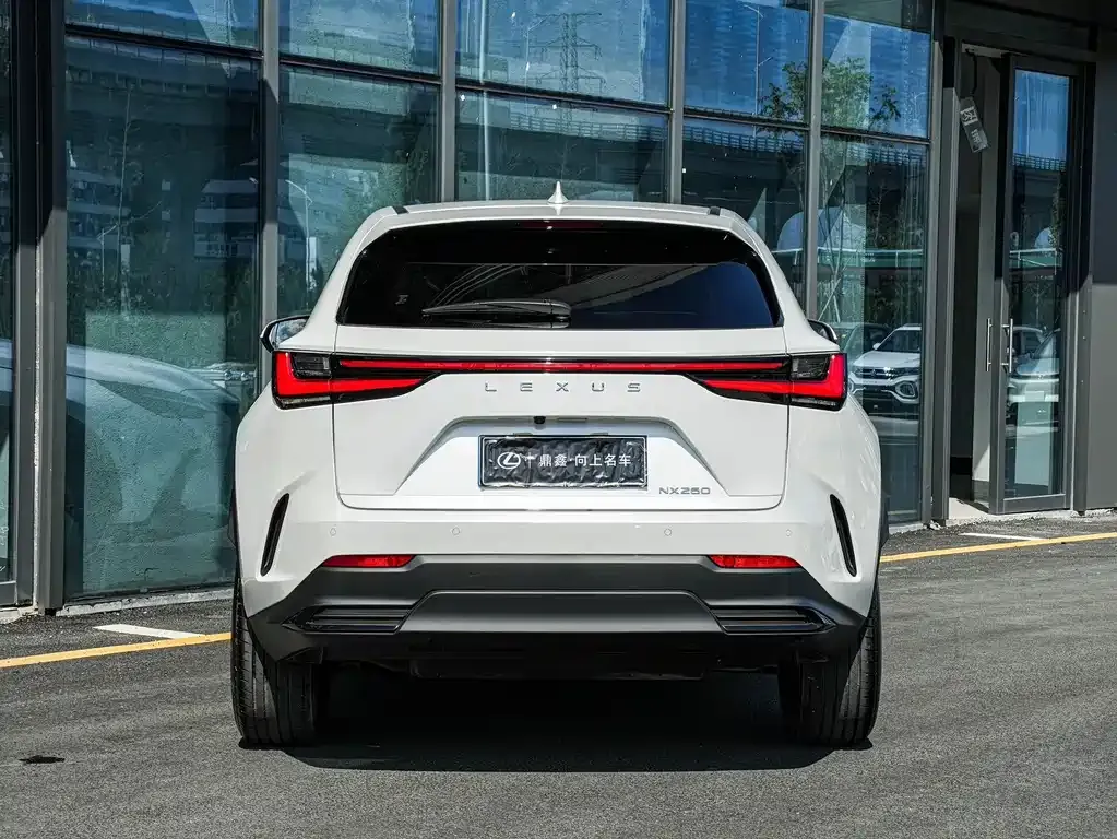 Lexus NX 2023 из CN, фото 5