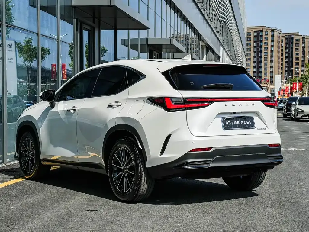 Lexus NX 2023 из CN, фото 6