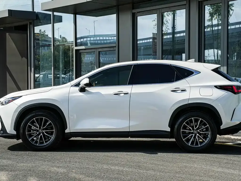 Lexus NX 2023 из CN, фото 7
