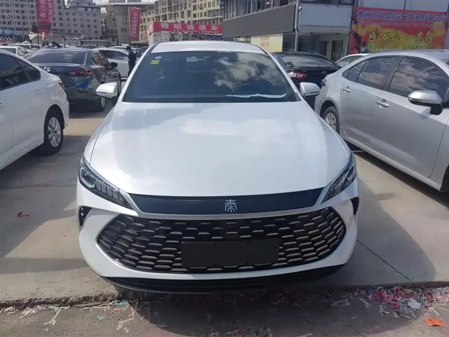 BYD Qin PLUS — фото 2