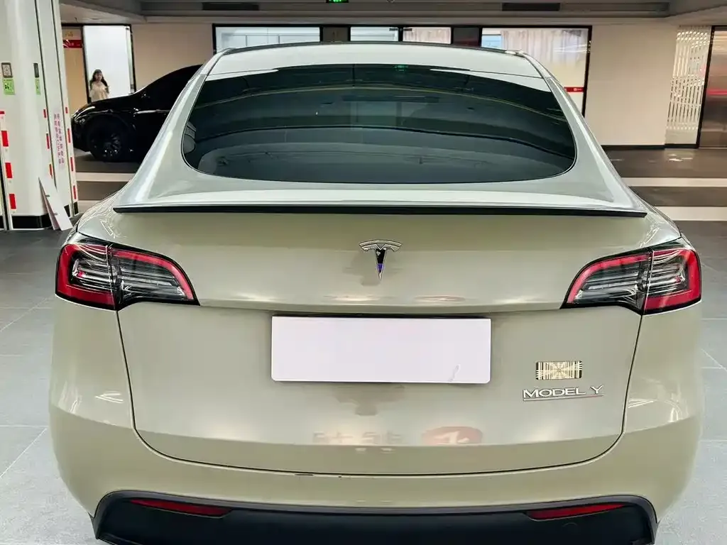 Tesla Model Y 2023 из CN, фото 6