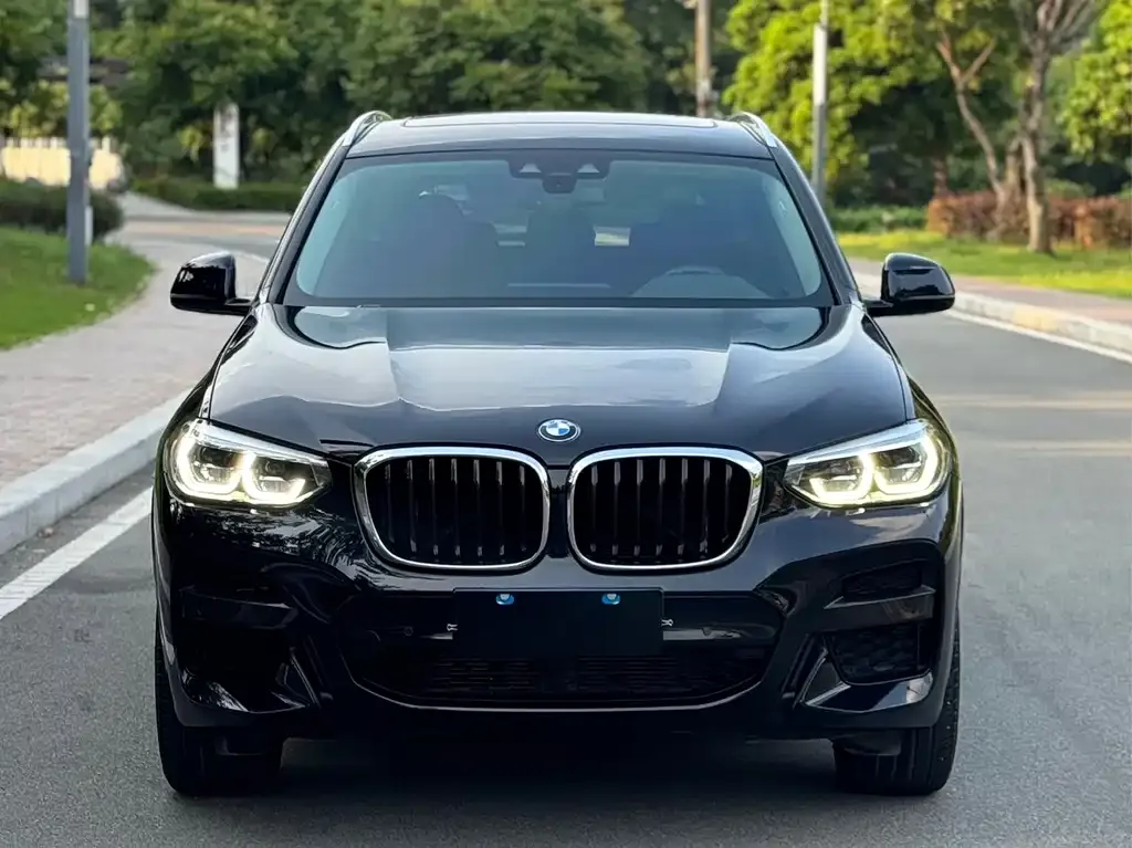 BMW X3 2021 из CN, фото 2
