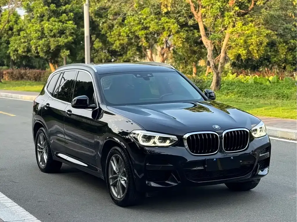 BMW X3 2021 из CN, фото 3