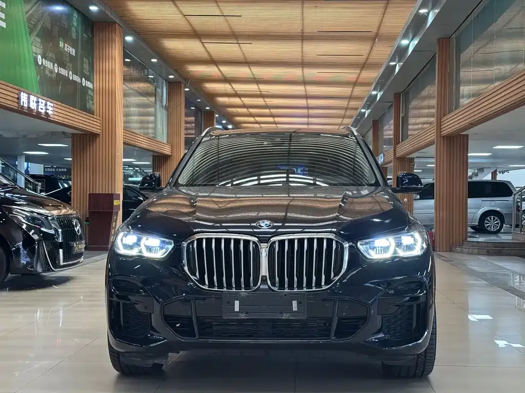 [object Object] X5 (Import) 2022 из CN, фото 2