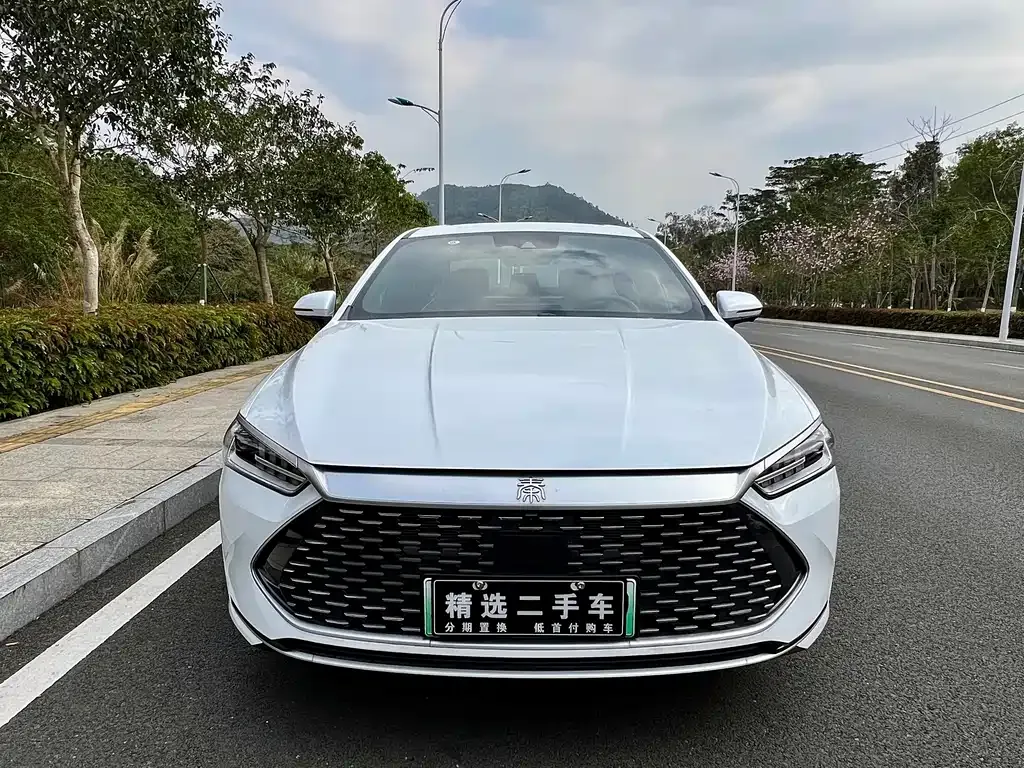 BYD Qin PLUS 2024 из CN, фото 1