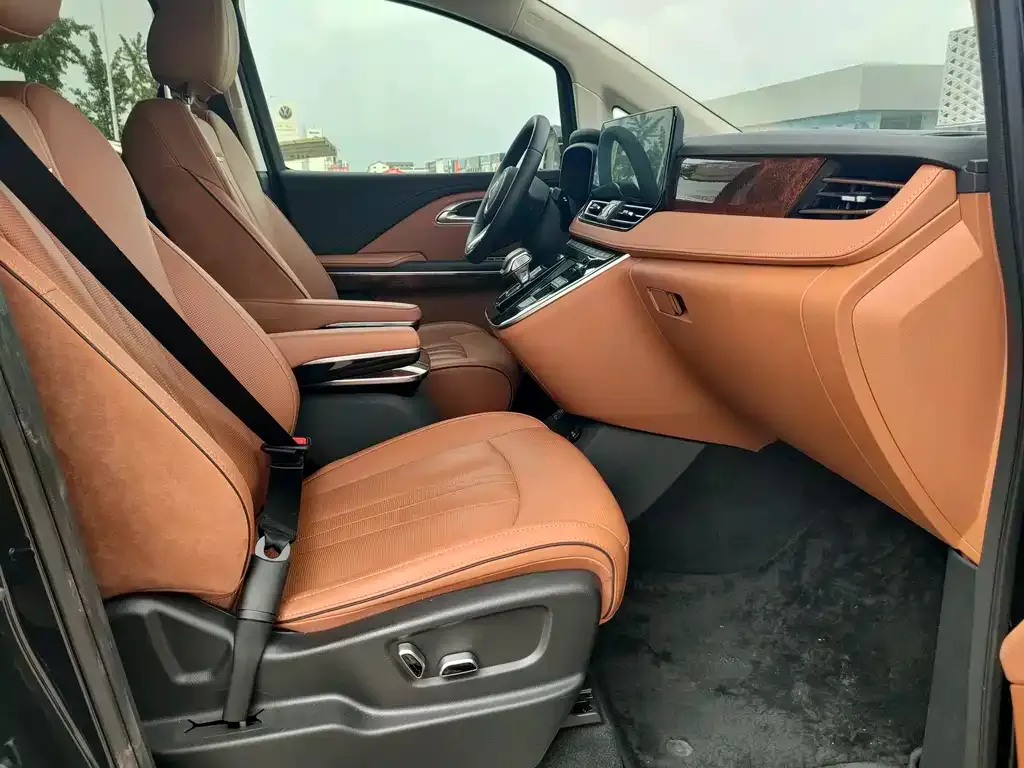 Hongqi HQ9 2023 из CN, фото 8