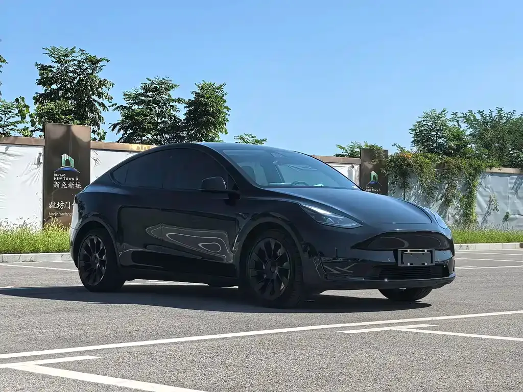 Tesla Model Y 2022 из CN, фото 3
