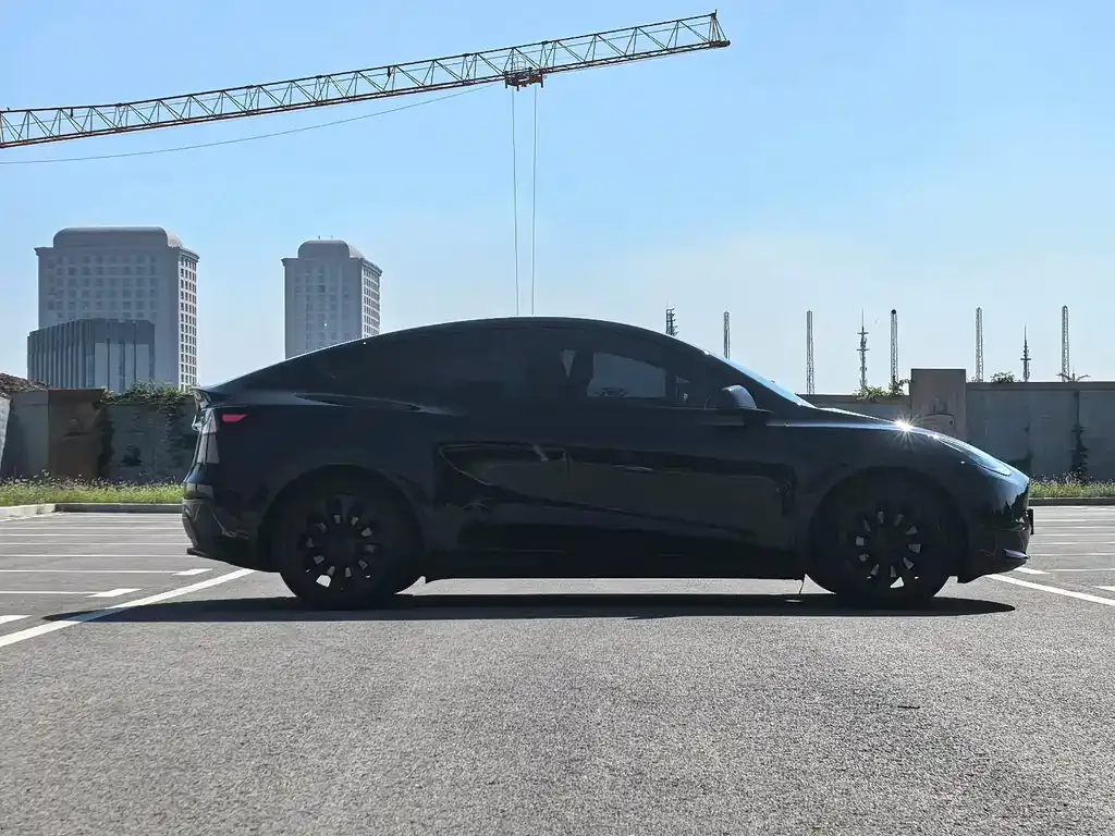 Tesla Model Y 2022 из CN, фото 4