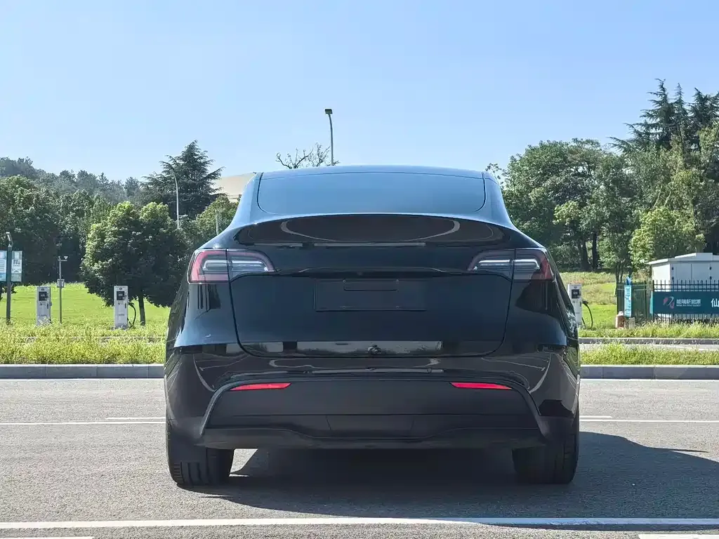 Tesla Model Y 2022 из CN, фото 6