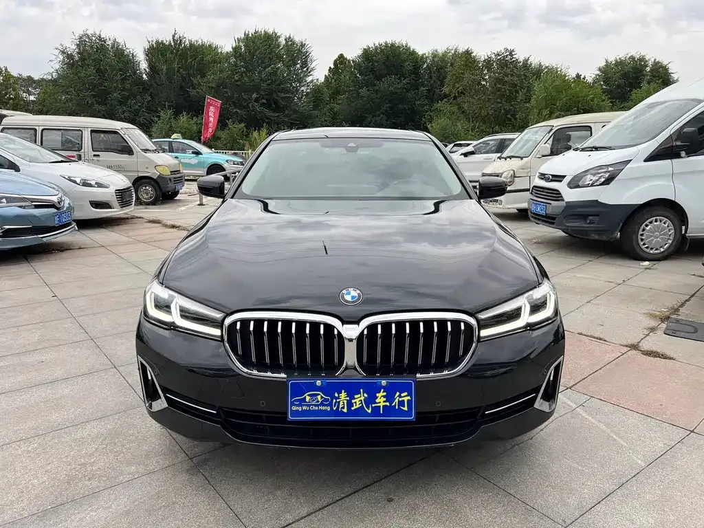 BMW 5 Series 2023 из CN, фото 2