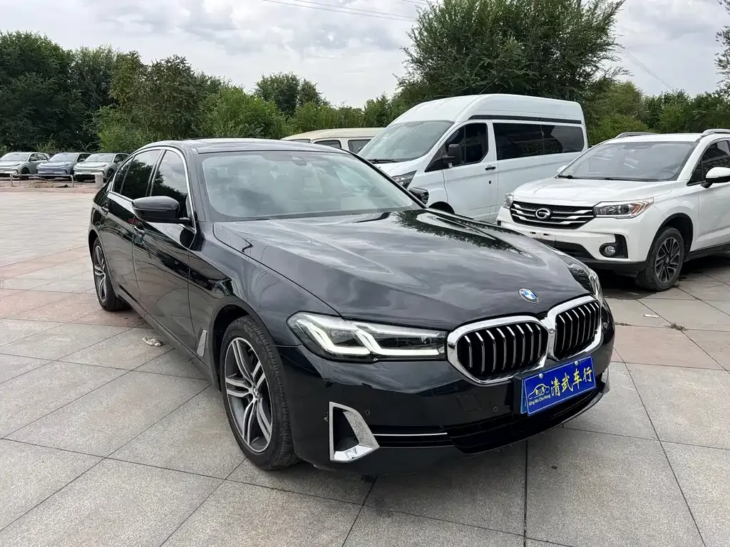 BMW 5 Series 2023 из CN, фото 3