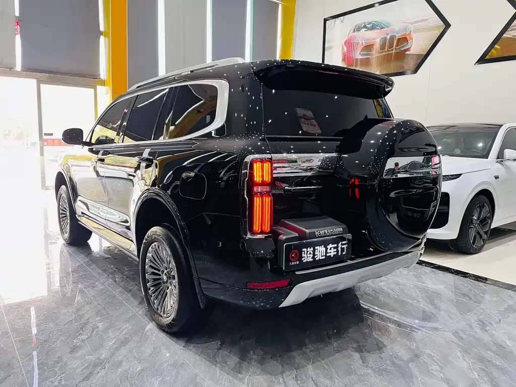 Tank 500 New Energy 2023 из CN, фото 7