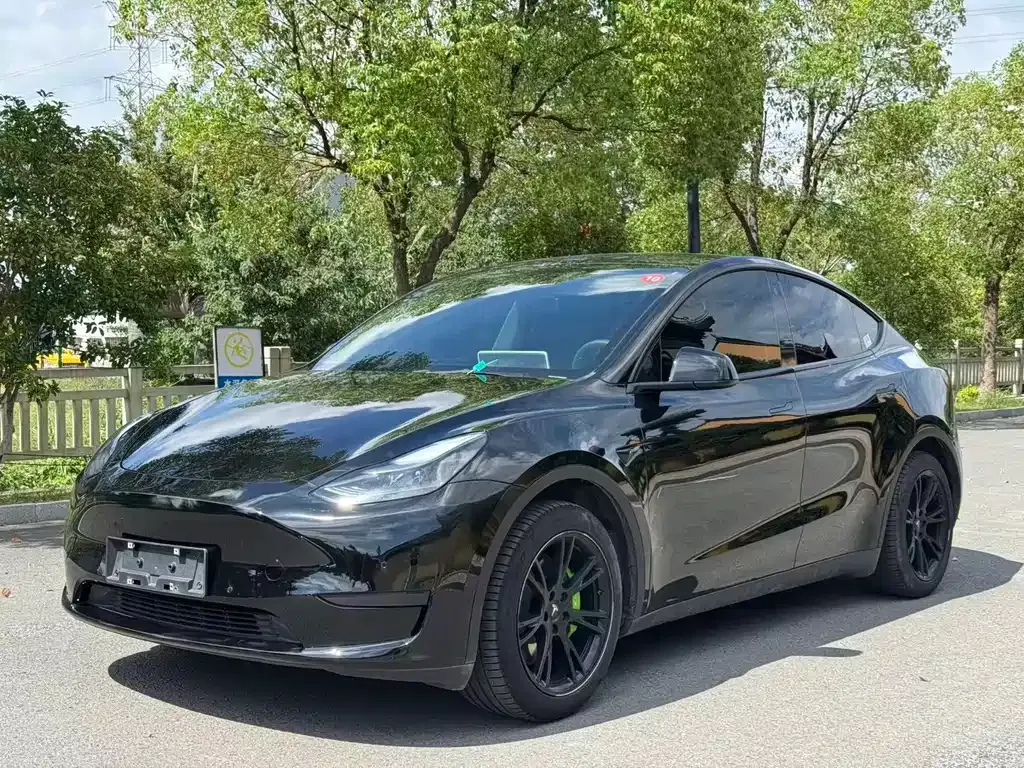 Tesla Model Y 2023 из CN, фото 1
