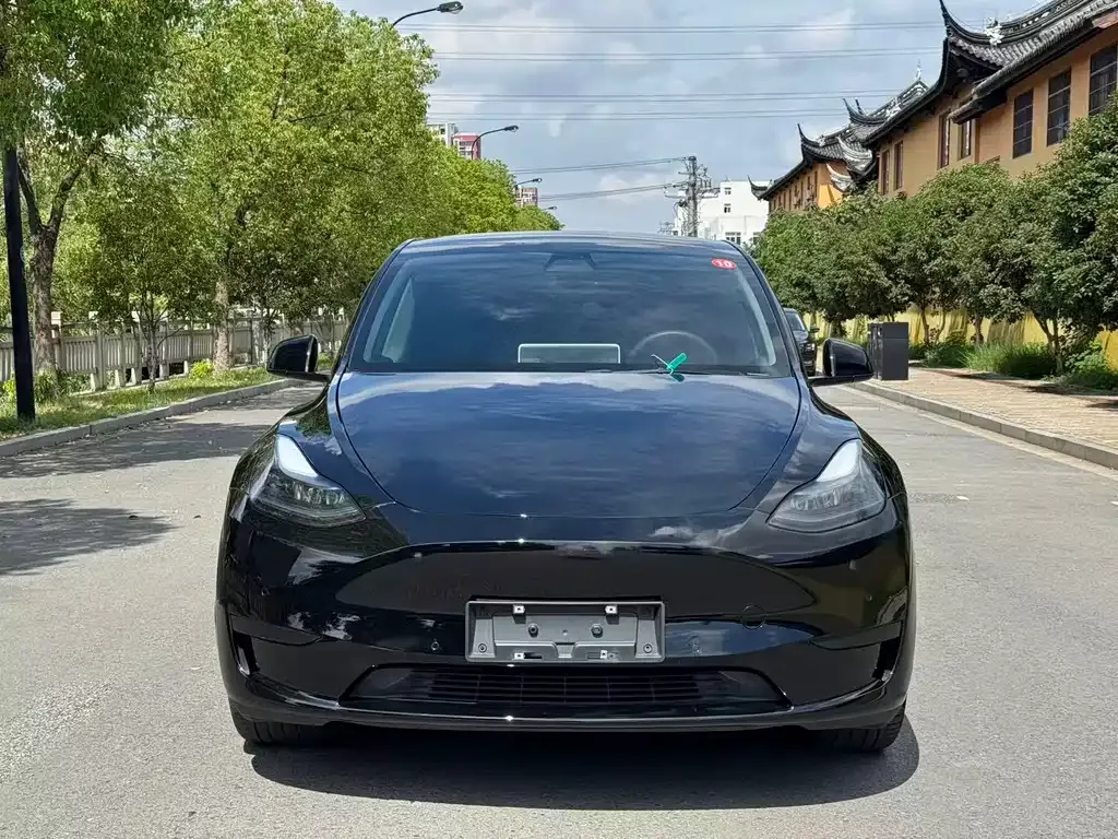 Tesla Model Y 2023 из CN, фото 2