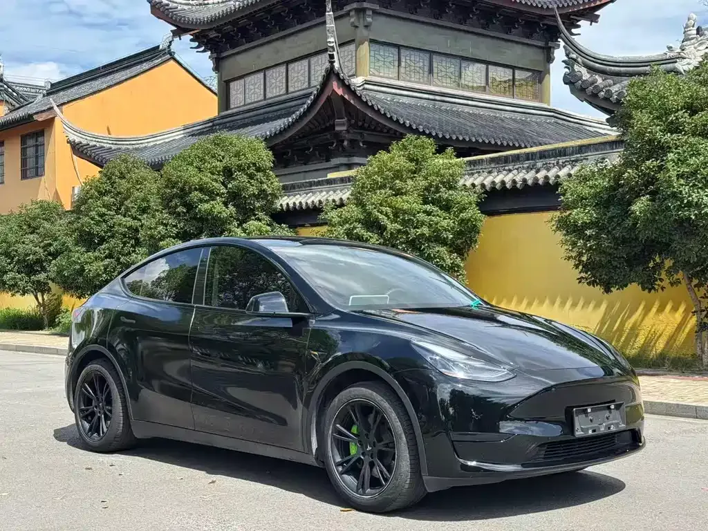 Tesla Model Y 2023 из CN, фото 3