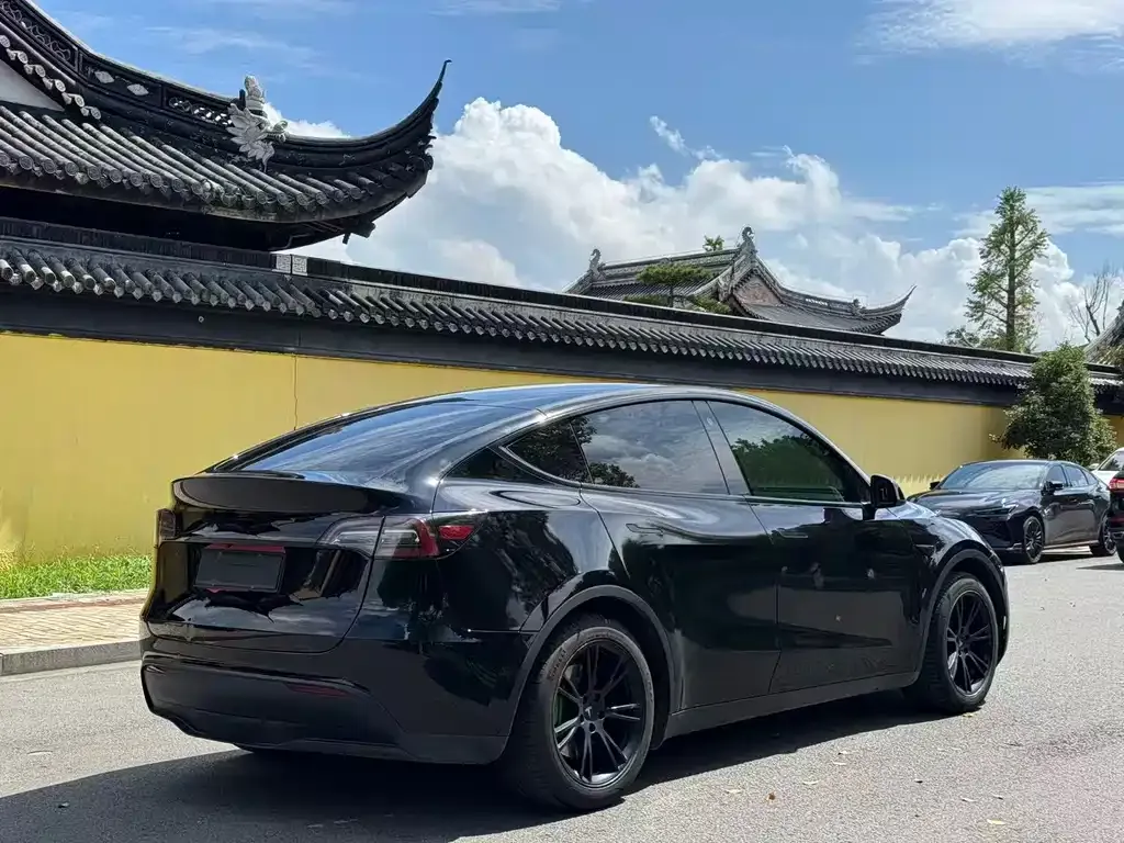 Tesla Model Y 2023 из CN, фото 4