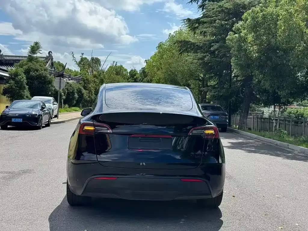 Tesla Model Y 2023 из CN, фото 5
