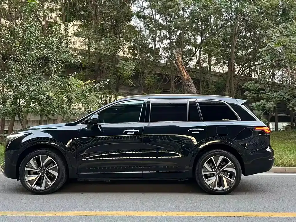Li Auto ONE 2021 из CN, фото 5